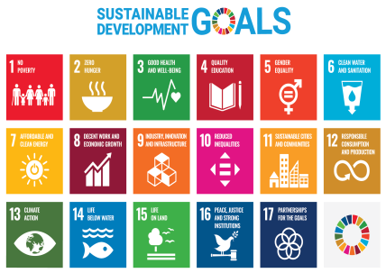 UN Sustainable Development Goals and business