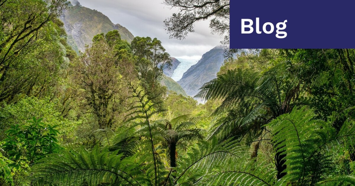 Climate-related disclosures | thinkstep-anz