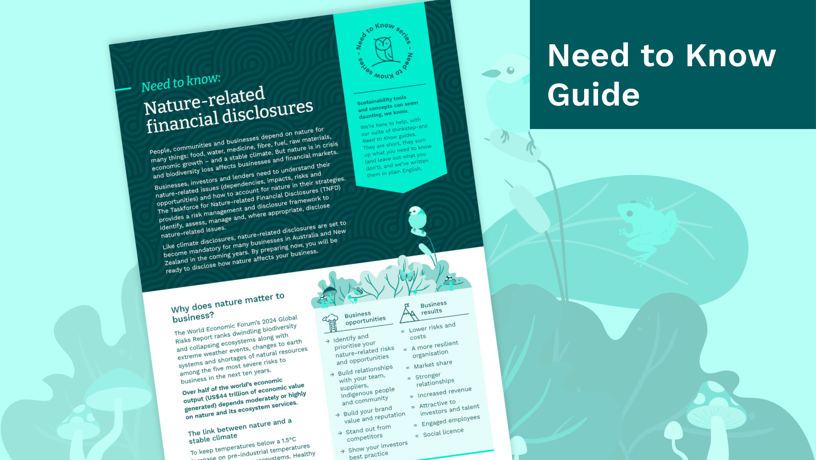 What you Need to Know about nature-related financial disclosures