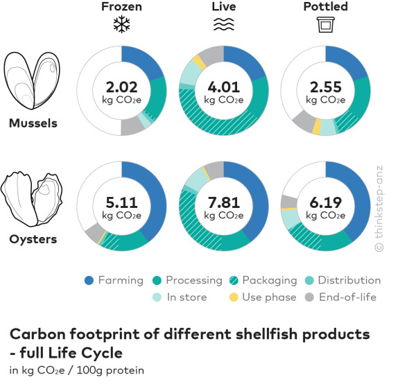 The carbon footprint of frozen, live, and potted mussels and oysters in Aquaculture New Zealand's LCA study.