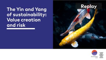 Sustainable Development Goals and risks: The Yin and the Yang of the paths  towards sustainability