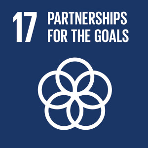 UN Sustainable Development Goal SDG 17: Partnerships for the goals